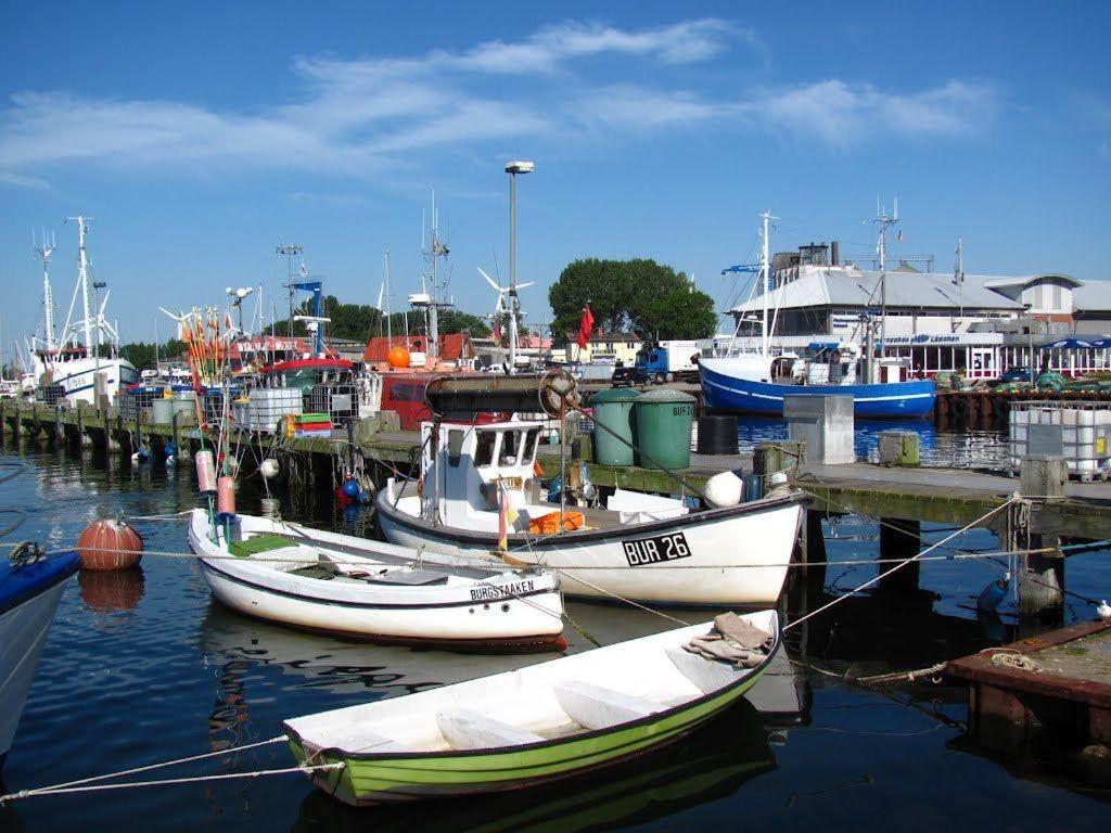 Direkt-am-suedstrand Apartment Burgtiefe auf Fehmarn